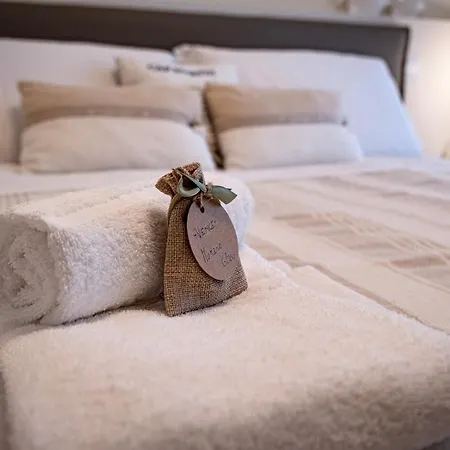 Starpalace Elegance Venezia A 2 Passi Dal Mare Apartment *